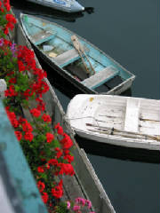 rowboats.jpg